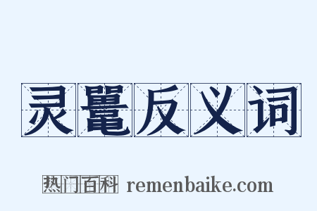 灵鼍反义词是什么意思的图片